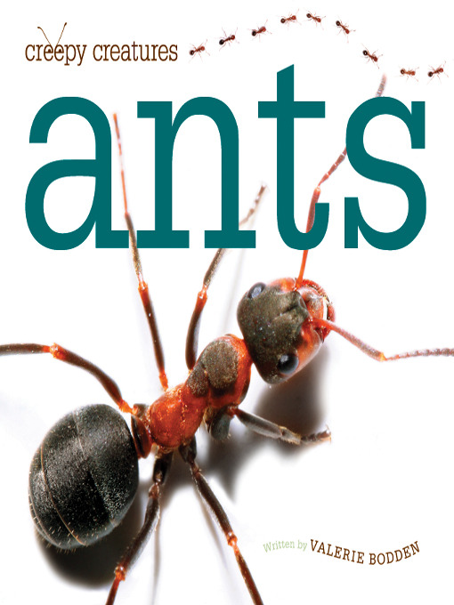 Title details for Ants by Valerie Bodden - Available